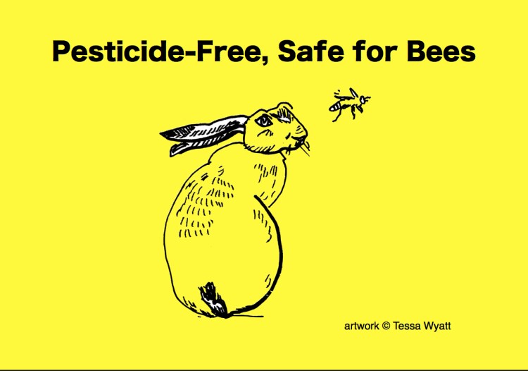 Pesticide Free Safe for Bees